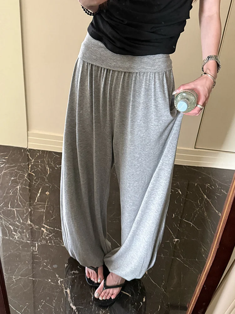 [EAM] High Elastic Waist Black Gray Brief Long Casual Wide Leg Pants New Trousers Women Fashion Tide Spring Autumn 2026 1DJ8226
