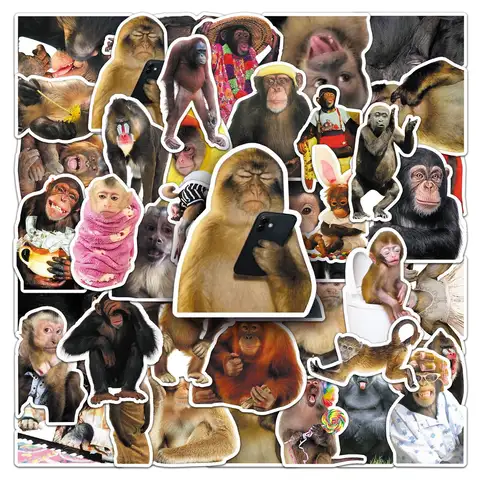50Pcs Crazy Funny Monkey & Orangutan Doodle Stickers Waterproof Decals for Stationery Notebook Helmet Motorcycle Suitcase Fridge