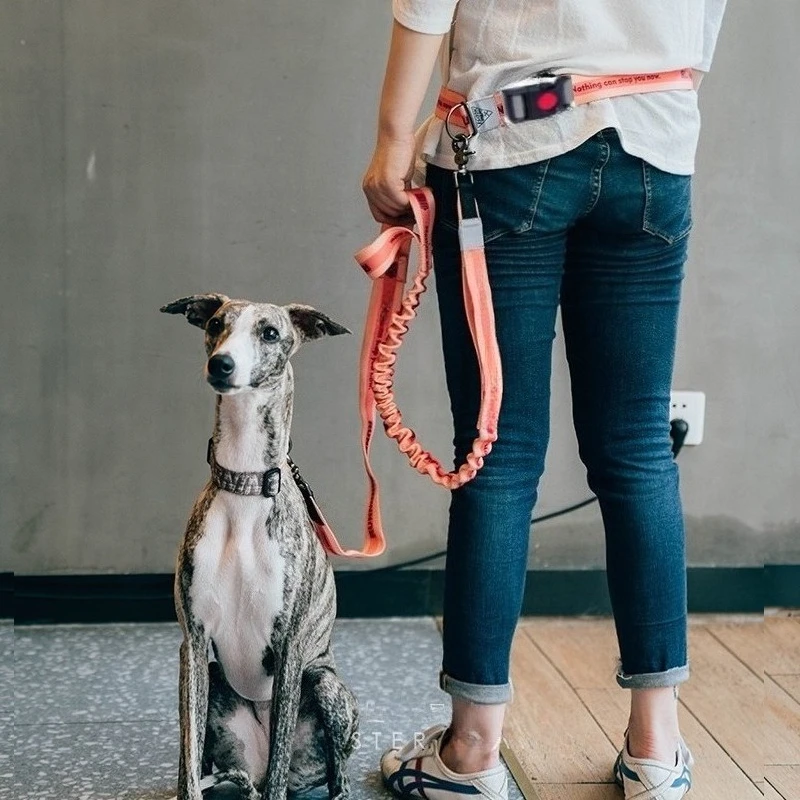 Adjustable Hand Free Dog Leash for Dog Pet Walking Running Jogging Dog leashes Waist Belt Chest Strap Traction Rope pet collars