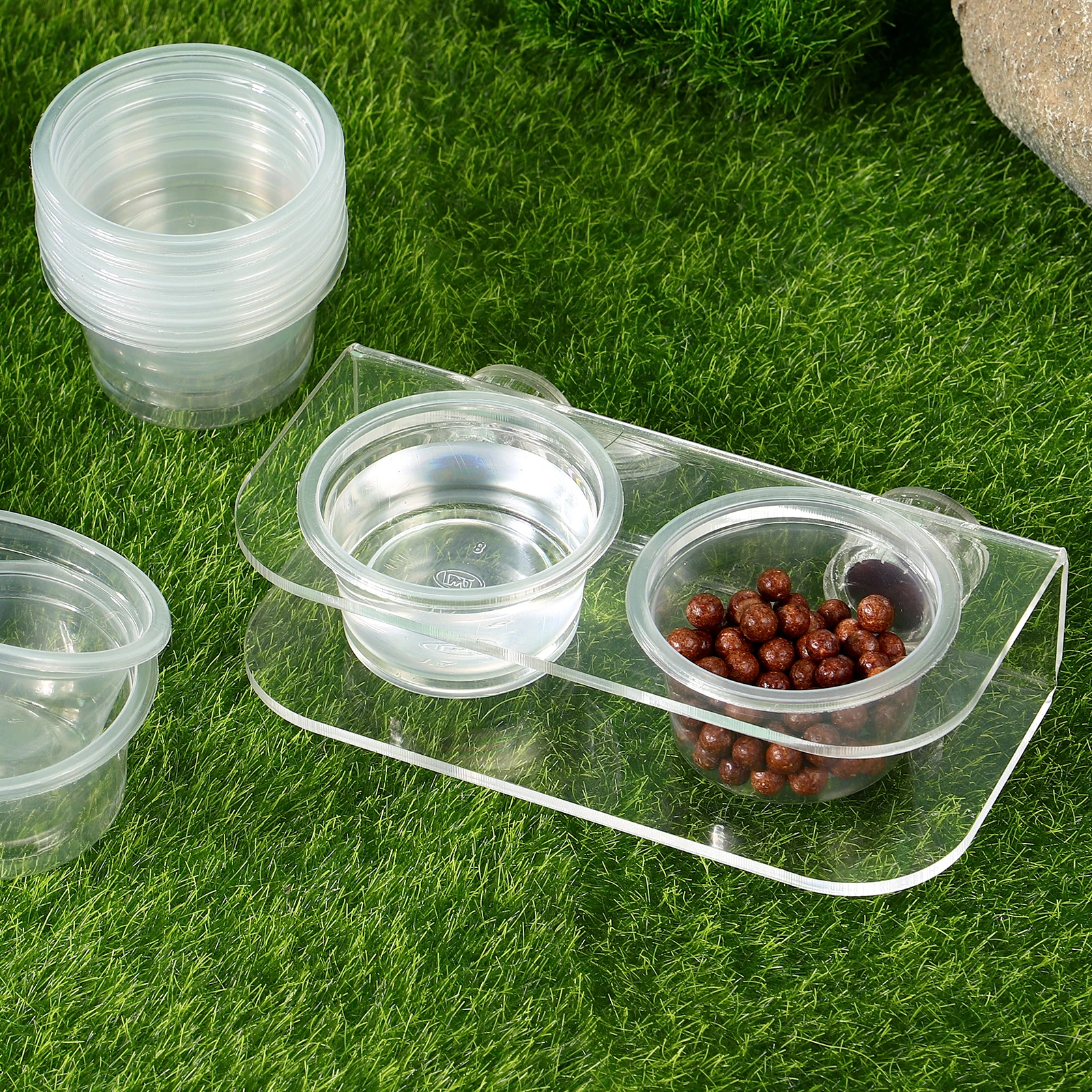 

10pcs Pet Dishes Reptile Bowl Gecko Cups Supplies Food Water Reptile Bowl Dish for Small Animals Stable Acrylic