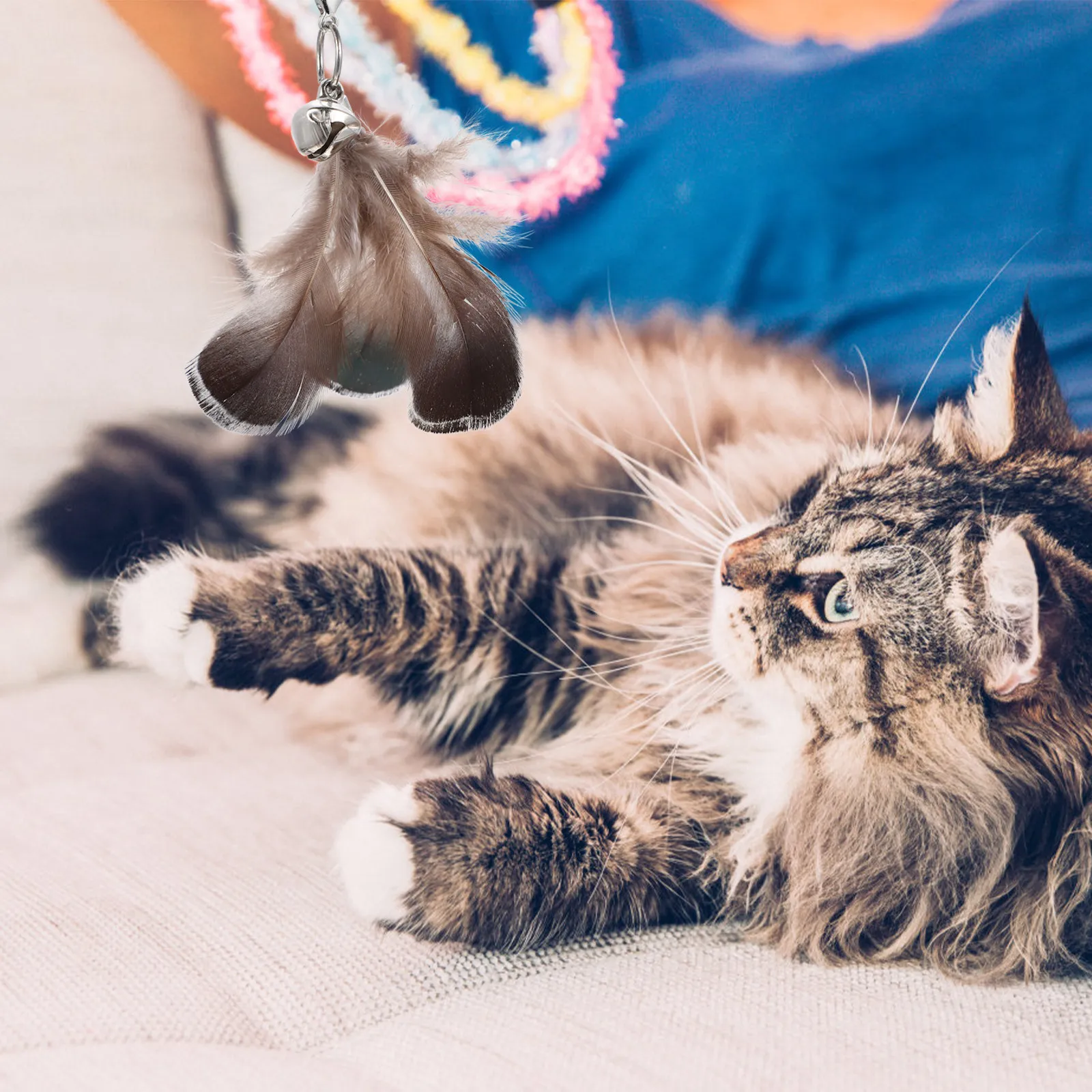 

5 шт. сменных насадок для дразнилок для кошек: премиум-качество для интерактивных игр, повышения активности и улучшения настроения кошек