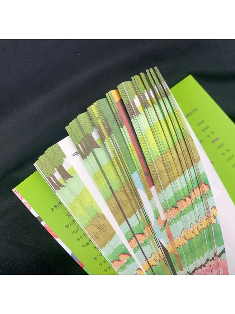 Libro-Winshare La Matemática Maravillosa