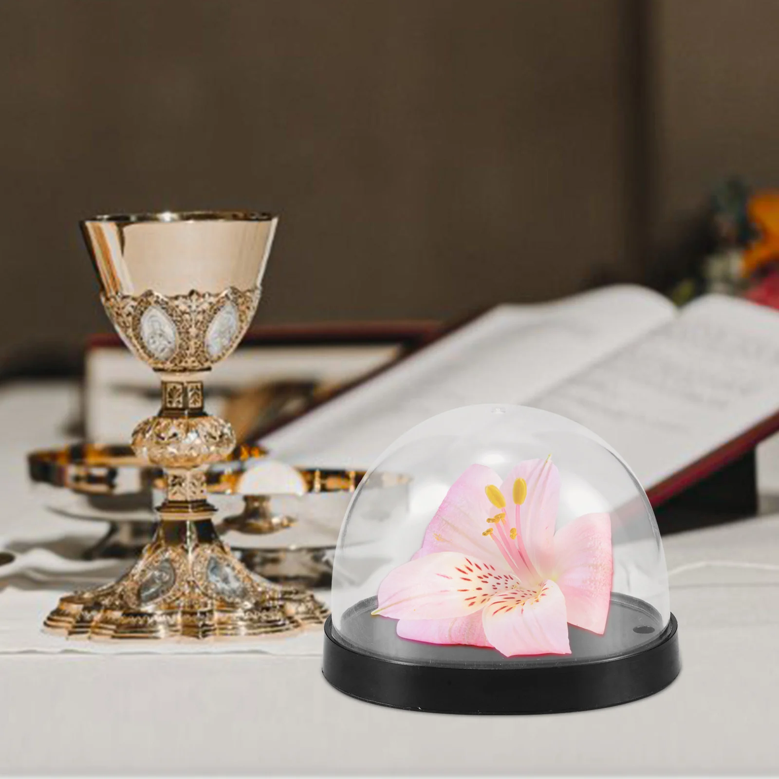 

5 set Glass Cloche Dome Clear Plastic Display Case With Base For Vase Plants Dried Flowers Micro-Landscape Decorative Dome