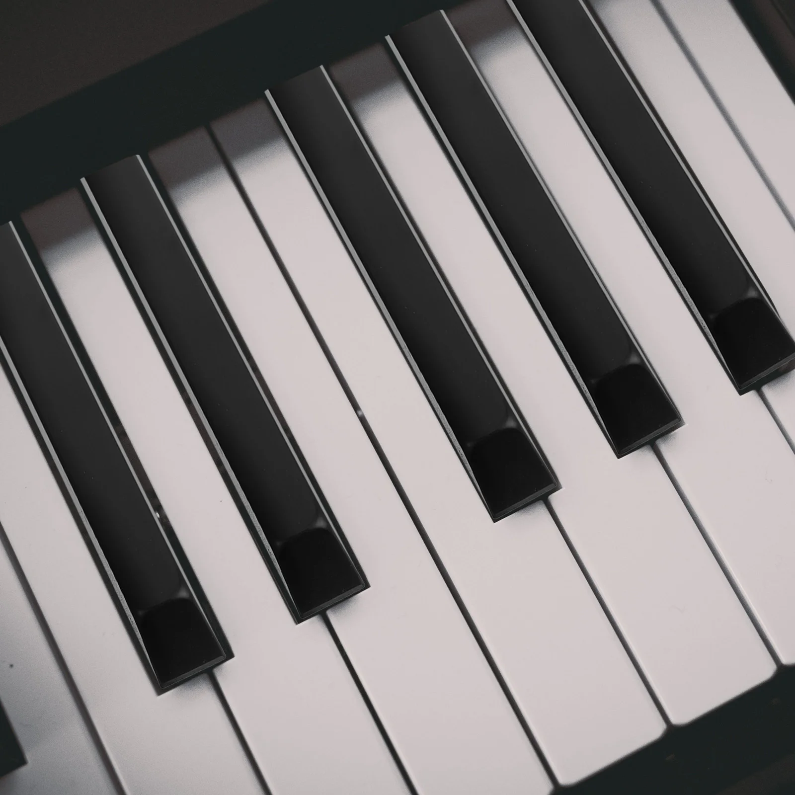 

5 Pcs Music Piano Black Key Accessories Stickers for Beginners Keyboard Accessory