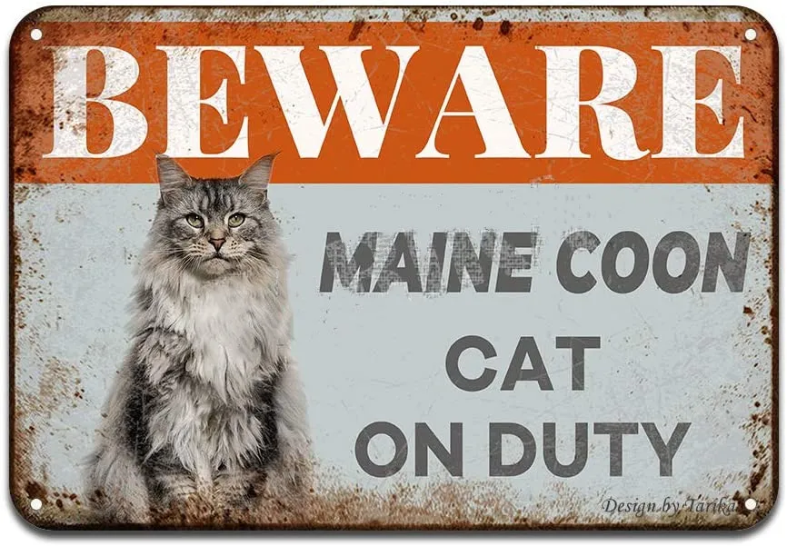 Beware Maine Coon Cat On Duty Iron Poster Painting Tin Sign Vintage Wall Decor for Cafe Bar Pub Home Beer Decoration