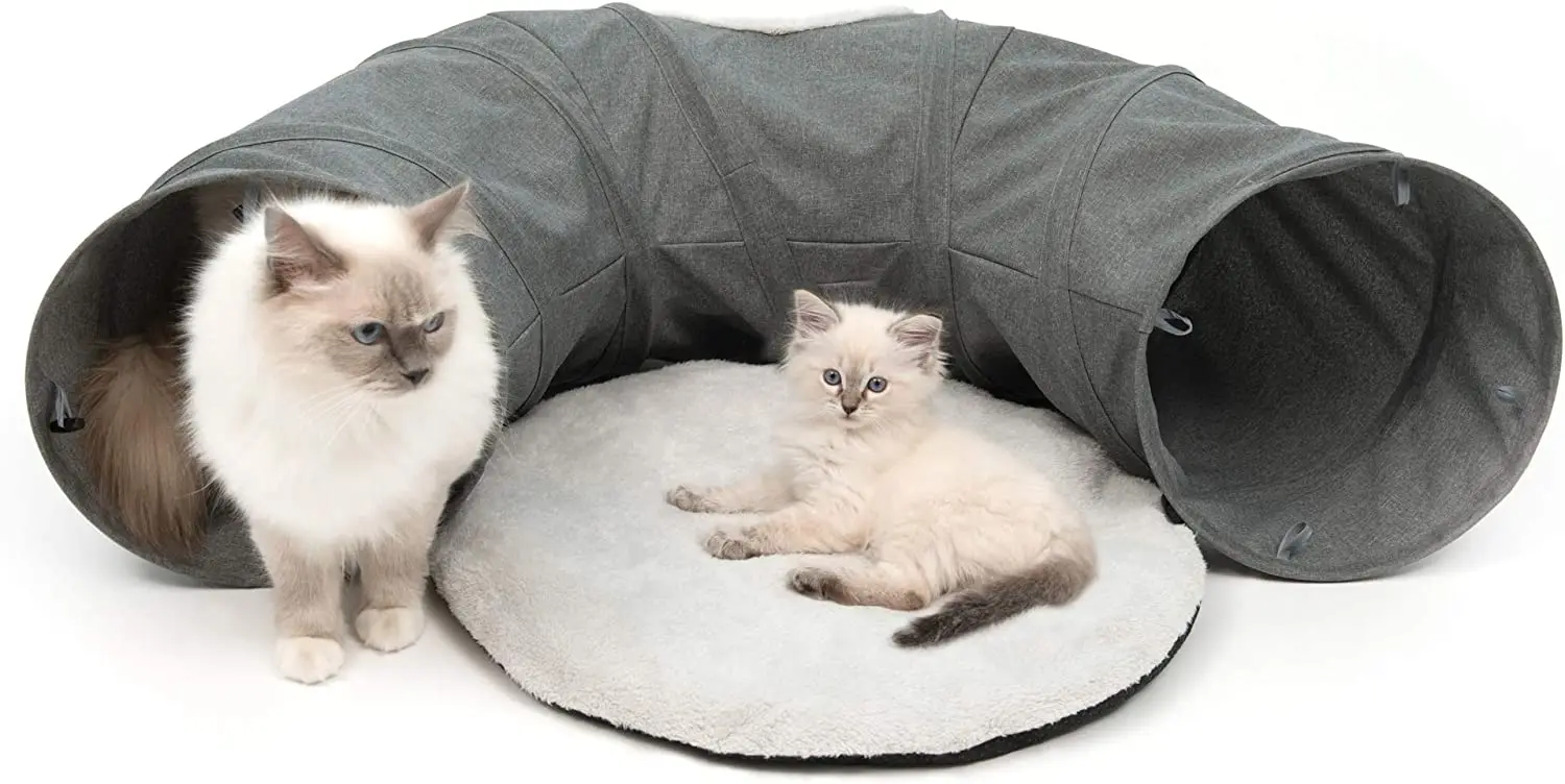 PAWISE Interactive 2 In 1 Pet Cat Tunnel Bed With Removable Cushion Wholesale Collapsible Plush Warm Cat Bed Tunnel Tube