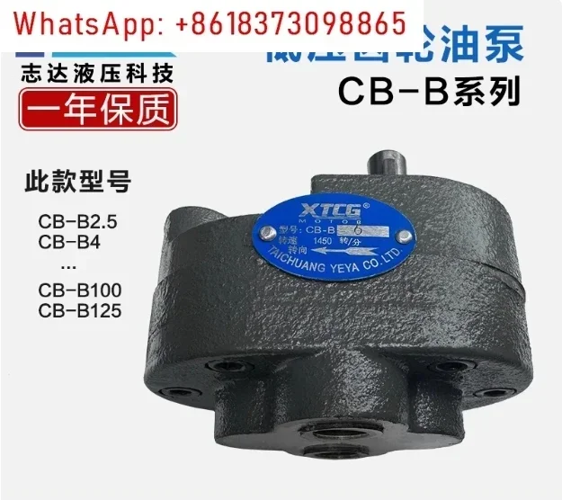 

Low Pressure Oil Pump CB-B16 CB-B20 CB-B25 Pressure 2.5Mpa Cast Iron Hydraulic Gear Pump Transfer Oil Pump
