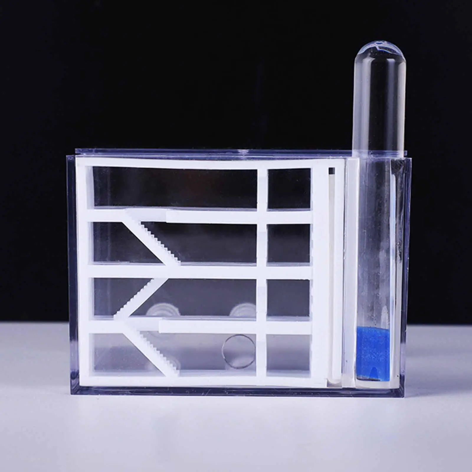 ANT Farm Habitat Transparent Study Toys Acrylic Science Educational Learning Easy to Assemble DIY ANT Nest for Gift Tabletop