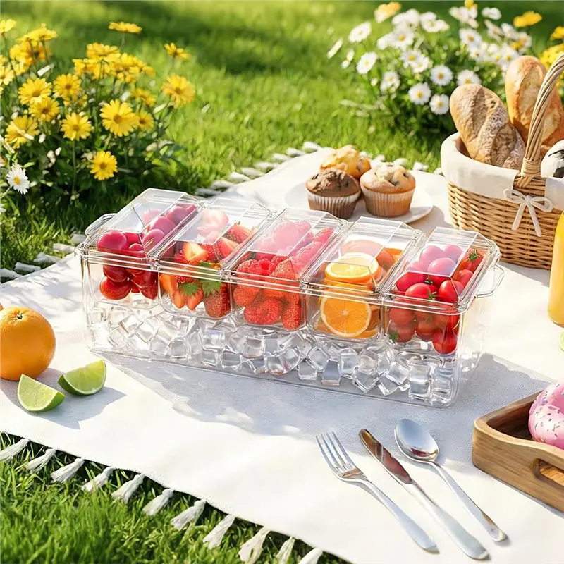 DT19-Condiment Tray With Chilled Condiment Server For Bar For Home, Garnish Holder On Ice, Removable Trays And Lids(5 Spoons 2 T