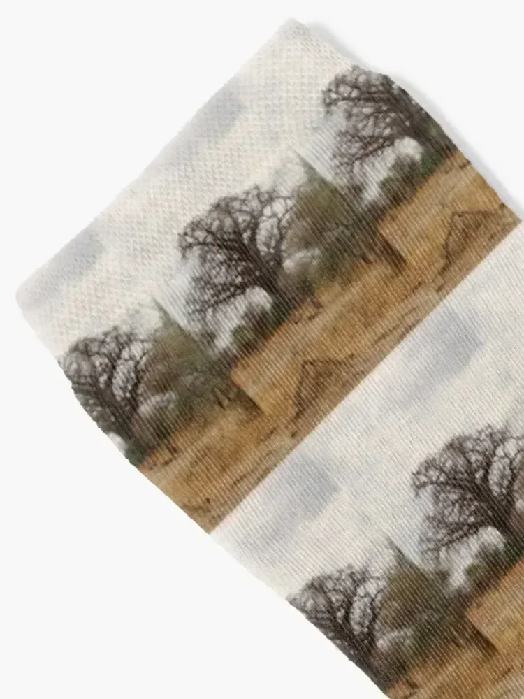 Africa, Tanzania, trees, baobab, baobab, photography, BebiCervin Socks Men's Rugby winter thermal hiking Socks Ladies Men's