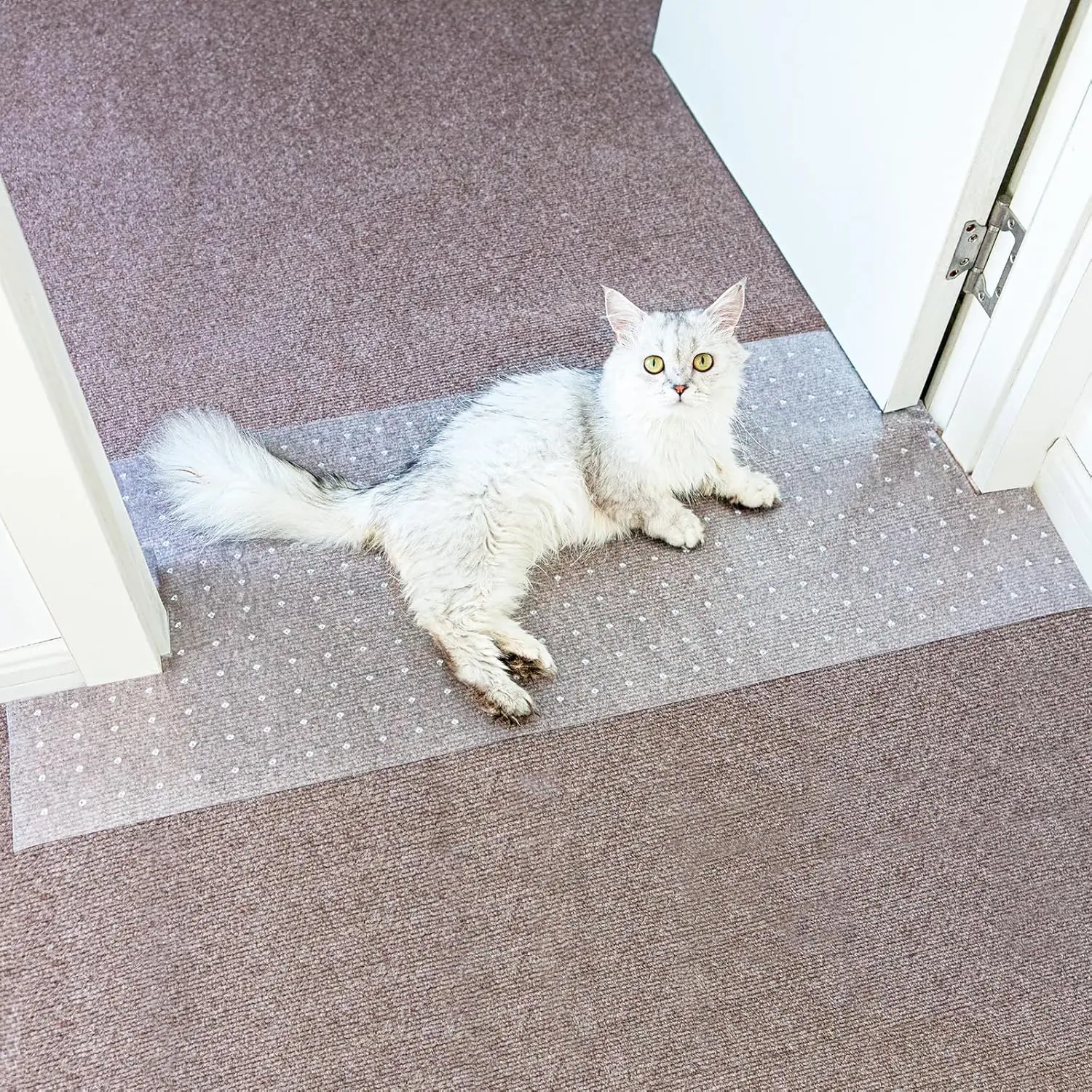 

Carpet Protector for Pets Cat Carpet Protector Repellent Barrier for Doorway Corner Anti Scratch Under Door Cat Scratch Protector Mat, Easy to Cut Plastic Stopper (Clear, 3.6FT-1pack)