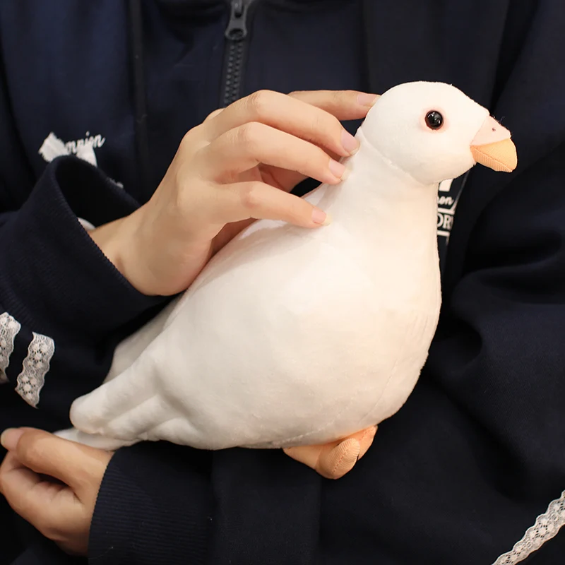 30CM Lifelike Dove Plush Toys Soft Stuffed Animals RealLife Homing Pigeon Dolls Home Decor for Kids Children Boys Birthday Gifts