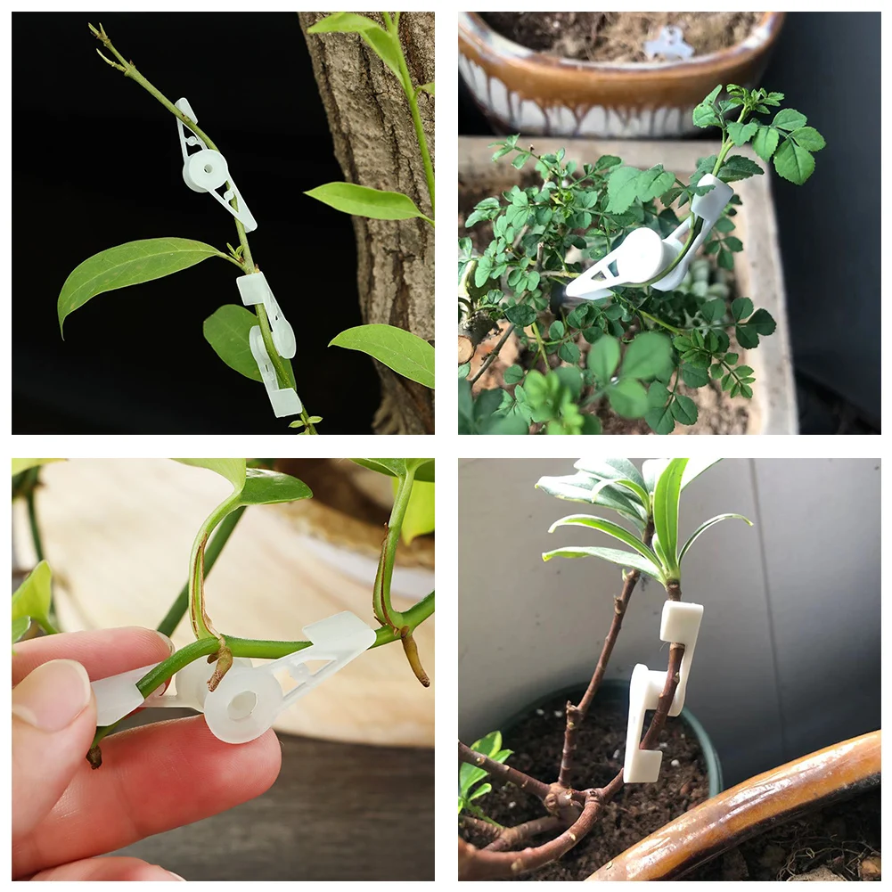 Tool Plant Branch Bender 360 Degree 4*1cm/1.57* 0.4 Inch Control The Growth Low Stress High-quality PP Brand New