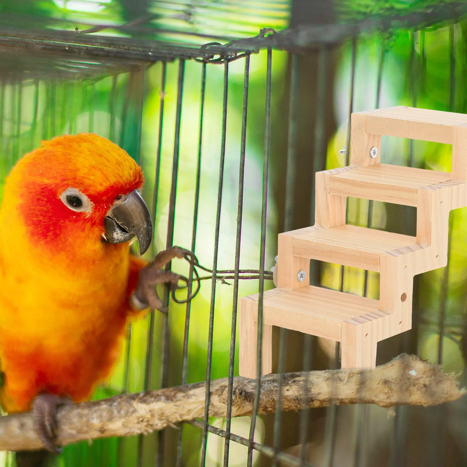 Natural Wood Bird Ladder Stand Featuring Z-Design Resting Platform and Foraging Elements for Parrot Budgie Cockatiel Hamster