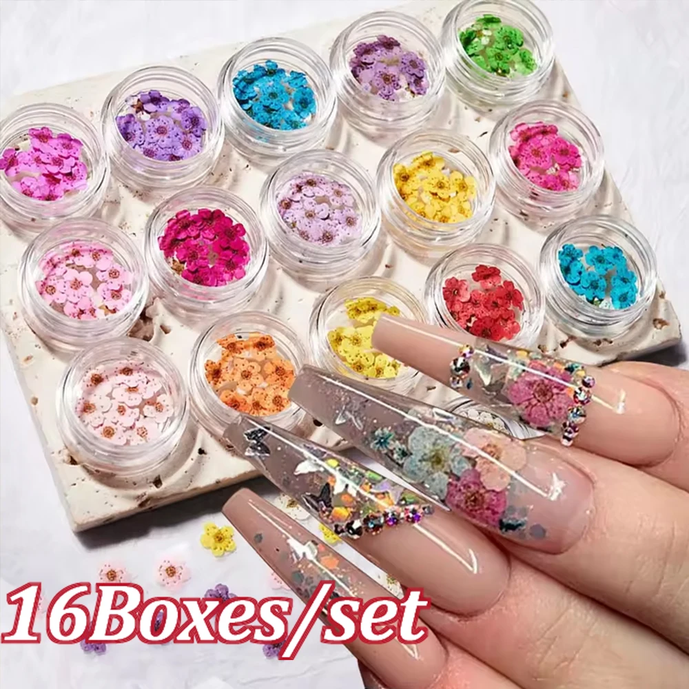 

16Pcs/set Mixed Dried Flowers Cherry Blossoms Nail Charms 3D Real Natural Plant Dry Flower Nail Accessori Spring Summer Nail Dec