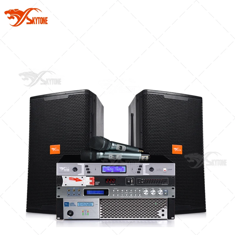 

Skytone Audio Small Sound Equipment System Professional for 300 Person