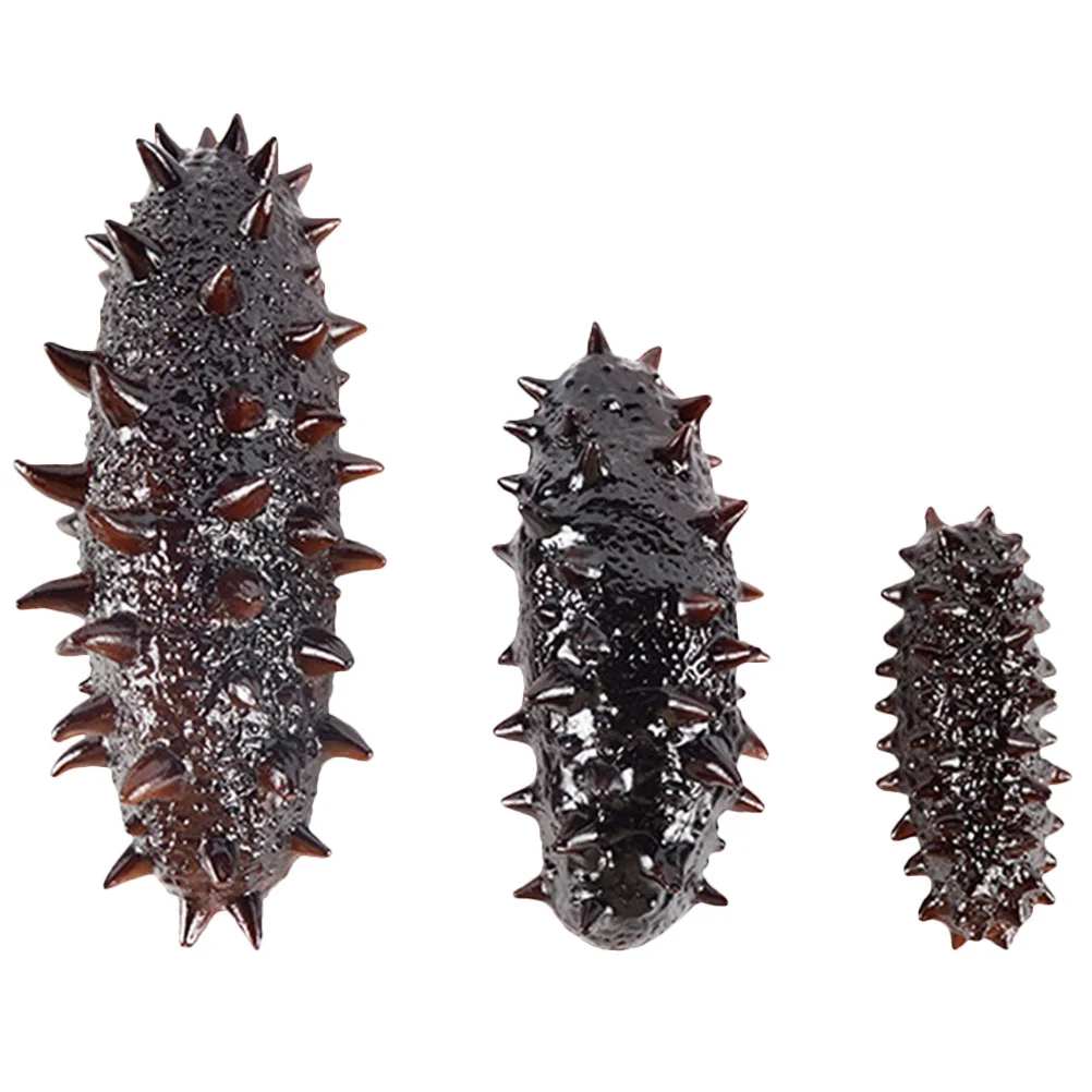3 Pcs Props Simulation Sea Cucumber Model Child Models Artificial Seafood Pvc Display