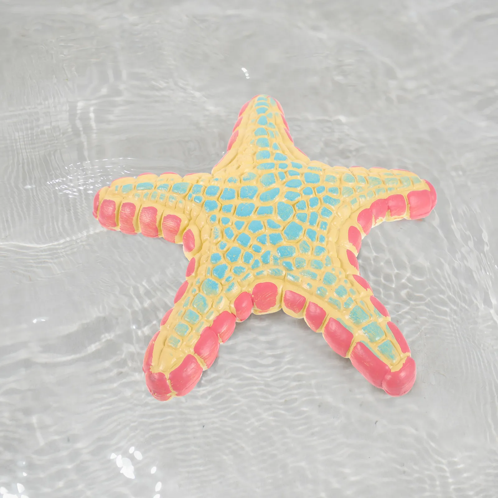 

6Pcs Ocean Animal Sea Star Simulation Statue Realistic Desktop Craft Educational Kids Pool Decoration Sea Star Toy