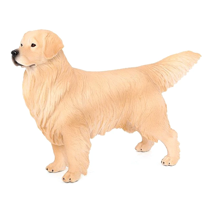 Simulation Animal Dog Model Big Golden Retriever Pet Dog Science Education Models Childrens Gift Toys