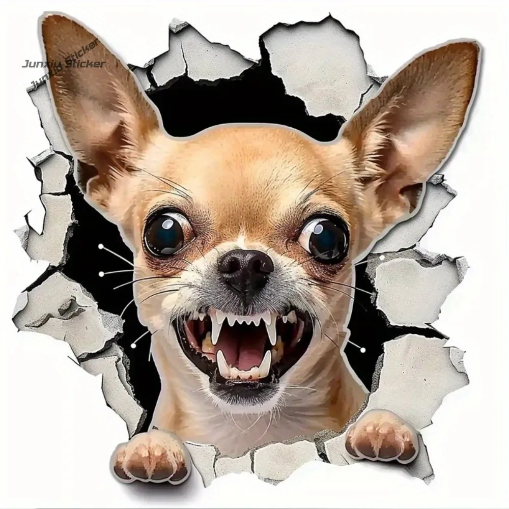

Aggressive Chihuahua Stickers Waterproof High-Quality Decals for Cars, Laptops, Helmets, Motorcycles, Toolboxes & Refrigerators