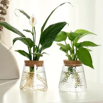 Glass Hydroponic Plant Vase 1