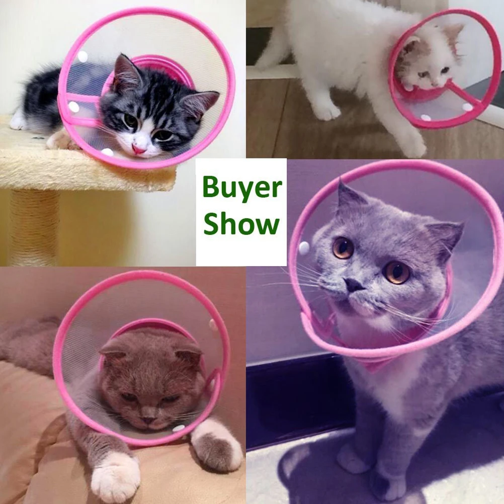 

Pet Recovery For Dogs Cats Plastic Cone For Dogs Lightweight Foldable Plastic Cone Comfortable Sleep Eat Size L Rose Red