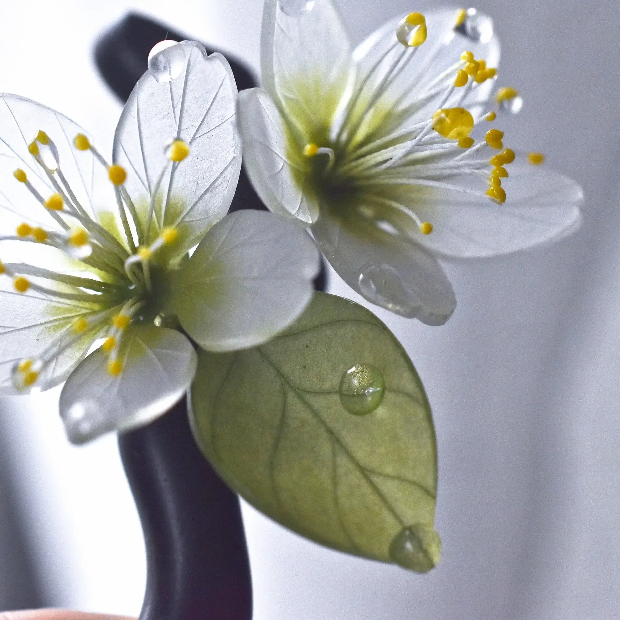 Elegant pear blossom sandalwood hairpin for women, a perfect gift. Chinese-style hair stick for updos. :without tassel.