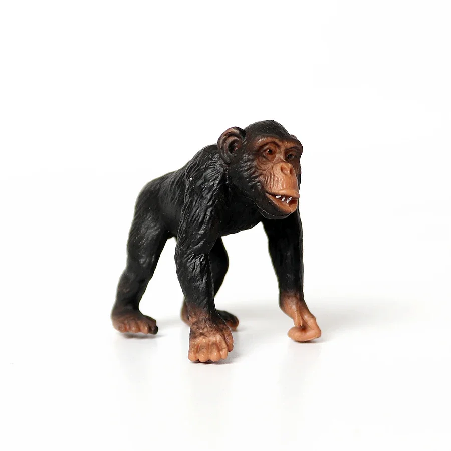Scimmia di plastica Modello Giocattoli Scimmia Gorilla Scimpanzé Figure Animali della Foresta Figurine Action Figure Giocattoli per bambini Giochi Regali per bambini