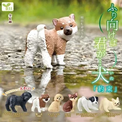 YELL Original Gashapon Kawaii Capsule Toys Figure Dog Animal Cute Anime Figurine Creative Gifts Desktop Decor