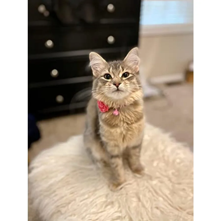 12pcs 1.6" Rose Small Dogs Collar Bows Flowers for Doggy Cats Wedding Birthday Party Collars Decor Sliding Accessories