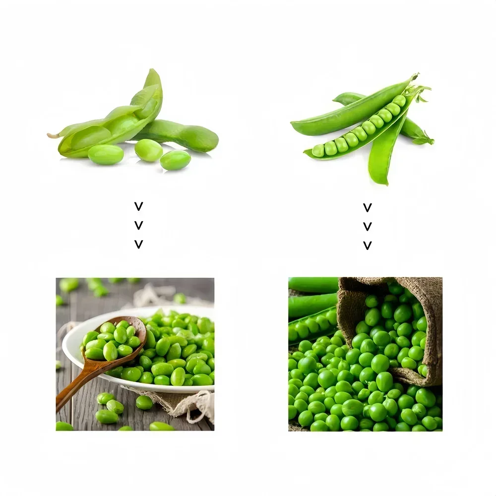 مقشرة ادامامي شبه أوتوماتيكية تقشير فول الصويا الأخضر آلة إزالة قشرة البازلاء #5