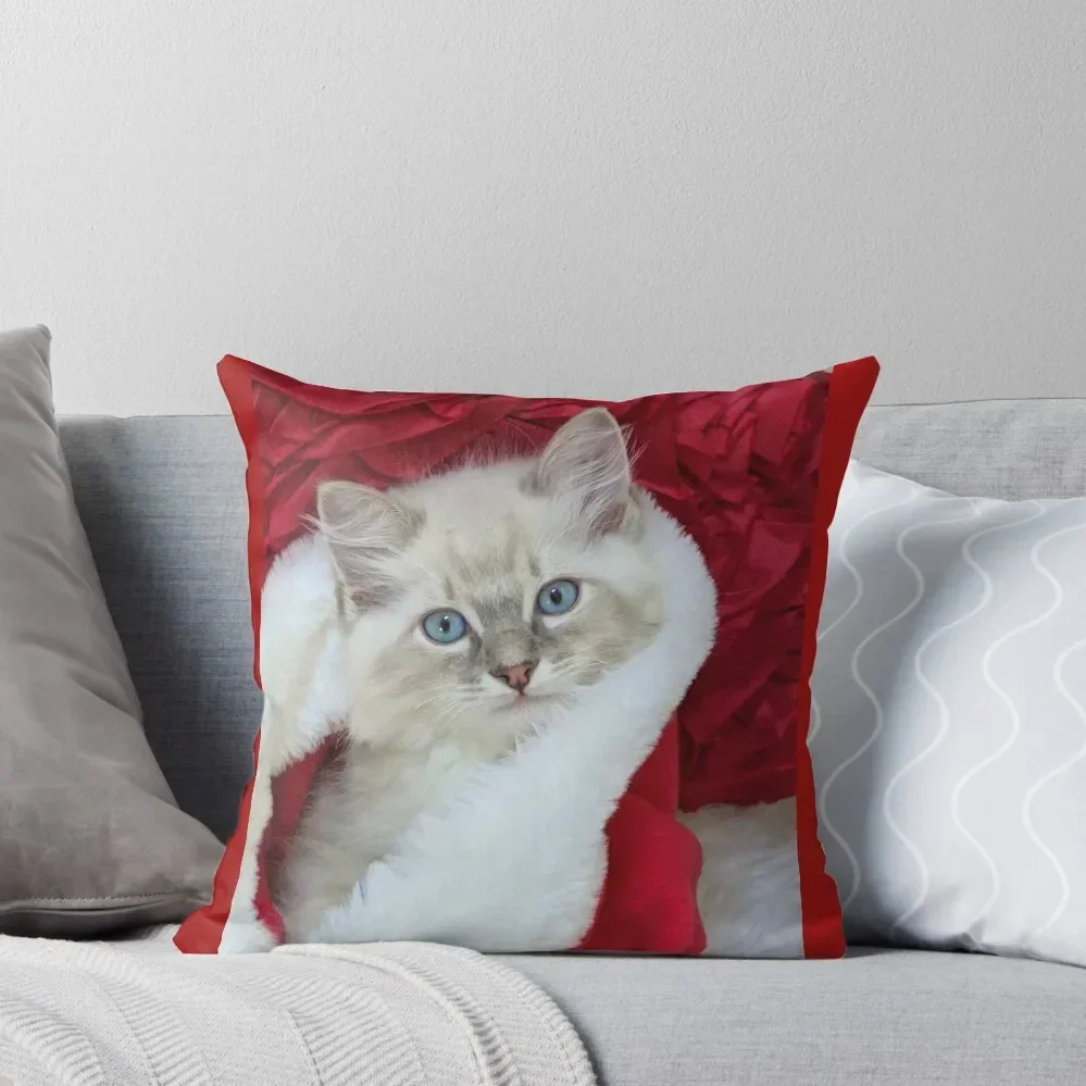 Ragdoll gatito Navidad cojín Año nuevo almohadas ornamentales fundas de almohada para cama almohada