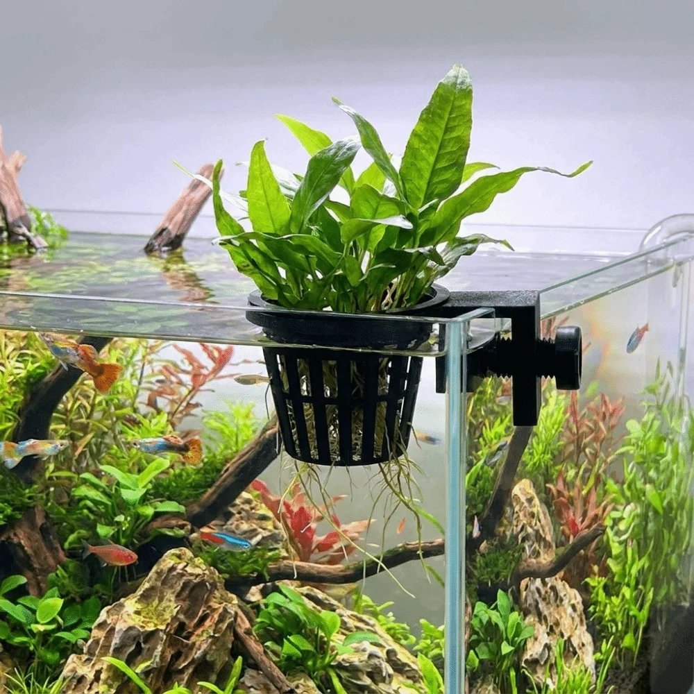 Top Hanging Aquarium Plant Holder Soilless Cultivation Wall-Mounted Hydroponic Planting Basket Plastic Screw Clamp/Suction Cup