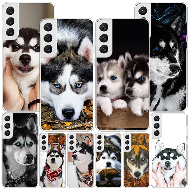Чехол для Samsung Galaxy S24 Ultra S23 S22 S21 Plus S20 FE S10E S10 S9 S8 Чехол для Samsung Galaxy S24 Ultra S23 S22 S21 Plus S20 FE S10E S10 S9 S8