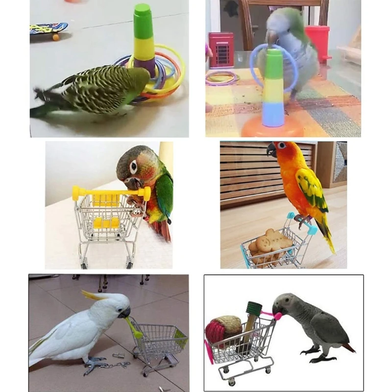 Bird Toys for Parakeets 4-Kind Set Birds Chewing and Playing Toys Suitable Size Improve Color Discrimination Ability