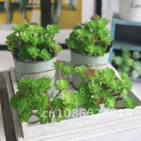 Artificial Succulent Grass Plant Fake Landscape Land Lotus Rare Plants Flower Garden Decor Wedding Decoration 24 heads