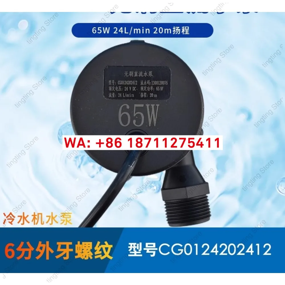 Licheng Pump Industry CG0124202412 DC Brushless DC24V6 Split Thread Chiller Head 20m65W Water Pump