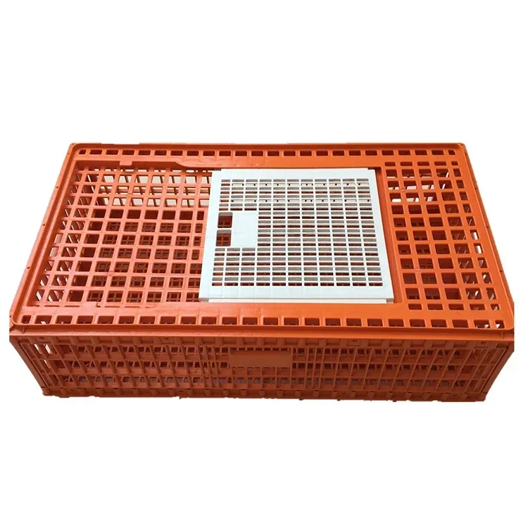 

Poultry Plastic Big Transport Crate Transport Cage