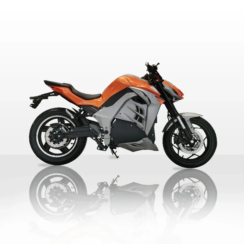 

Z1000 N19 High-Speed Electric Motorcycle - Wholesale Speedometer For Display & Custom Builds