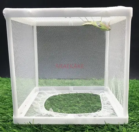 나비 사마귀 사육 그물 케이지, 물고기 탱크 물고기 튀김 물 격리 그물 케이지, 곤충 그물 케이지, 나비 그물 케이지 무료