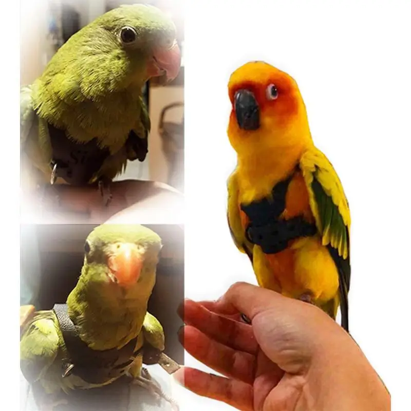 Parrot Harness Pet Parrot Adjustable Harness Anti Bite Training Harness Parrots Outdoor Flying Rope Cockatiel Small Birds Supply