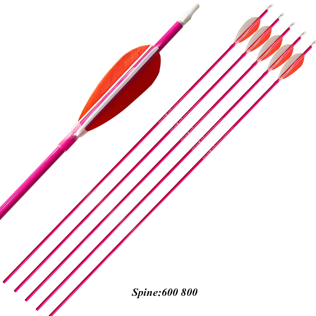 

Archery Carbon Arrow Spine600, 800, 80GR Point, 3Inch Turkey Feather, Bow Hunting Shooting, 12Pcs