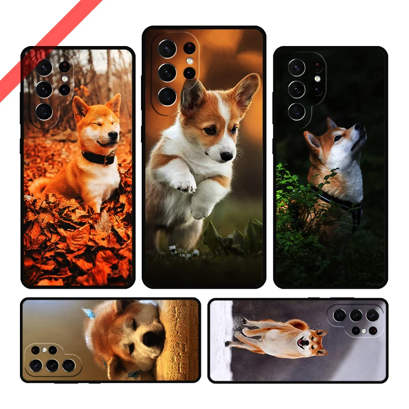 Animal Cute Dog Akita Phone Case For Samsung Galaxy S20 FE S21 S10 S23 Plus S24 S22 Ultra Coque Note20 Note10 S9 S8 Cover Capa