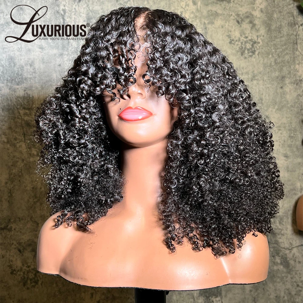 Bouncy Curly 4x4 Lace Closure Wig Human Hair 250% Density Blow-Out Afro Curly Lace Frontal Human Hair Wigs For Women Brazilian