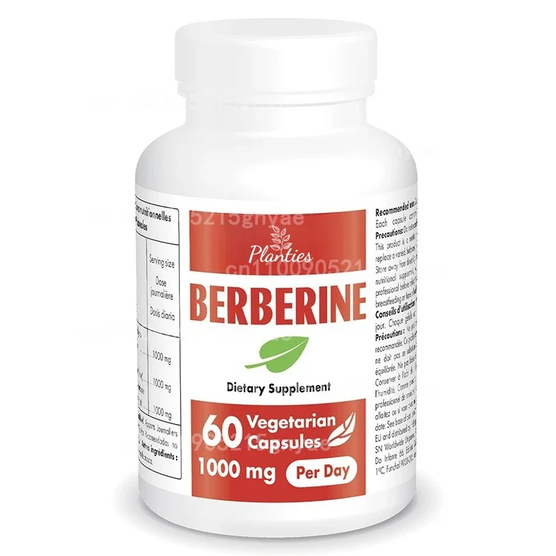 

1000mg Berberine Supplement - Supports Gut Health & Antioxidant Benefits - Overall Wellness
