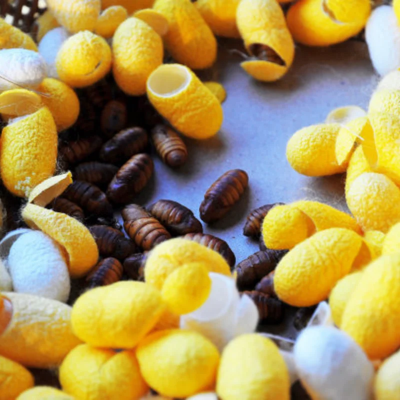 

4 шт., 63 мм, 1,0 дюйма, набор металлических колес с бисером для 1/18 1/24 RC гусеничного автомобиля TRX4M SCX24 AX24 FCX24, обновленные детали, аксессуары