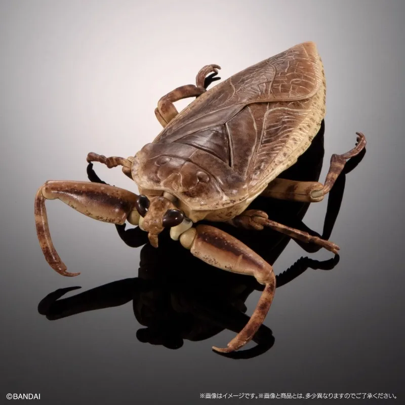 Original Bandai Big Biological Map Osmanthus Cicada Aquatic Insect Gashapon Anime Action Figure Model Toys Gifts Collection