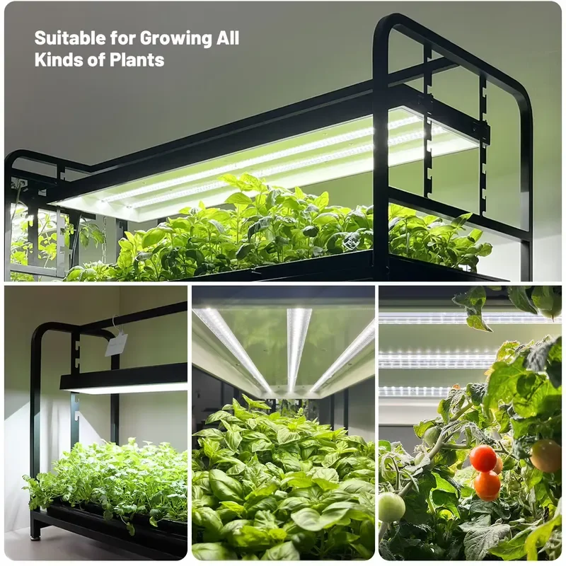 Decorative Hanging Tabletop Smart Electronic Energy-Saving Grow Light for Home Use Mini Plant Growing Kit with Basil Growth