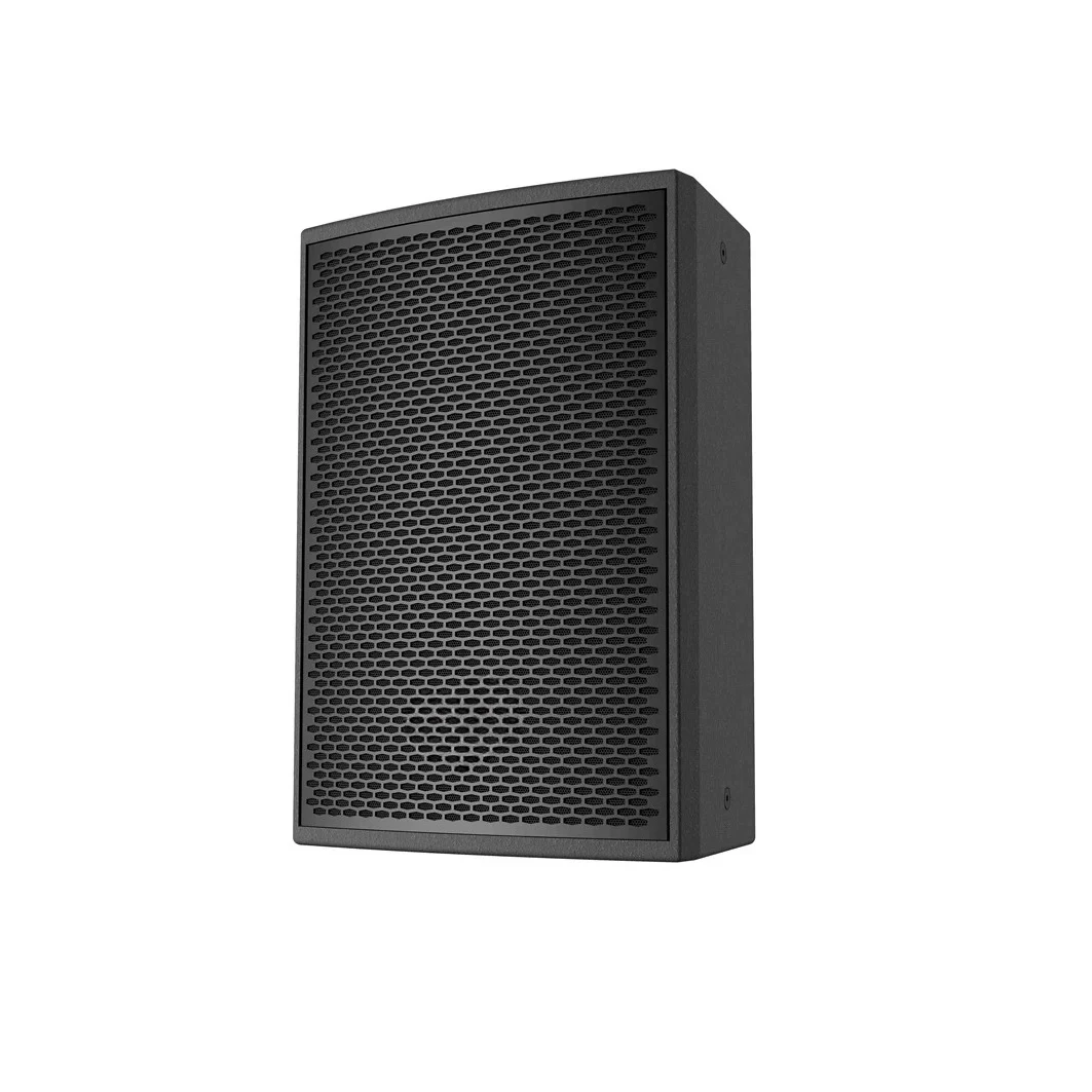 Professional RMS 300W 10 Inch Portable pa Speaker System