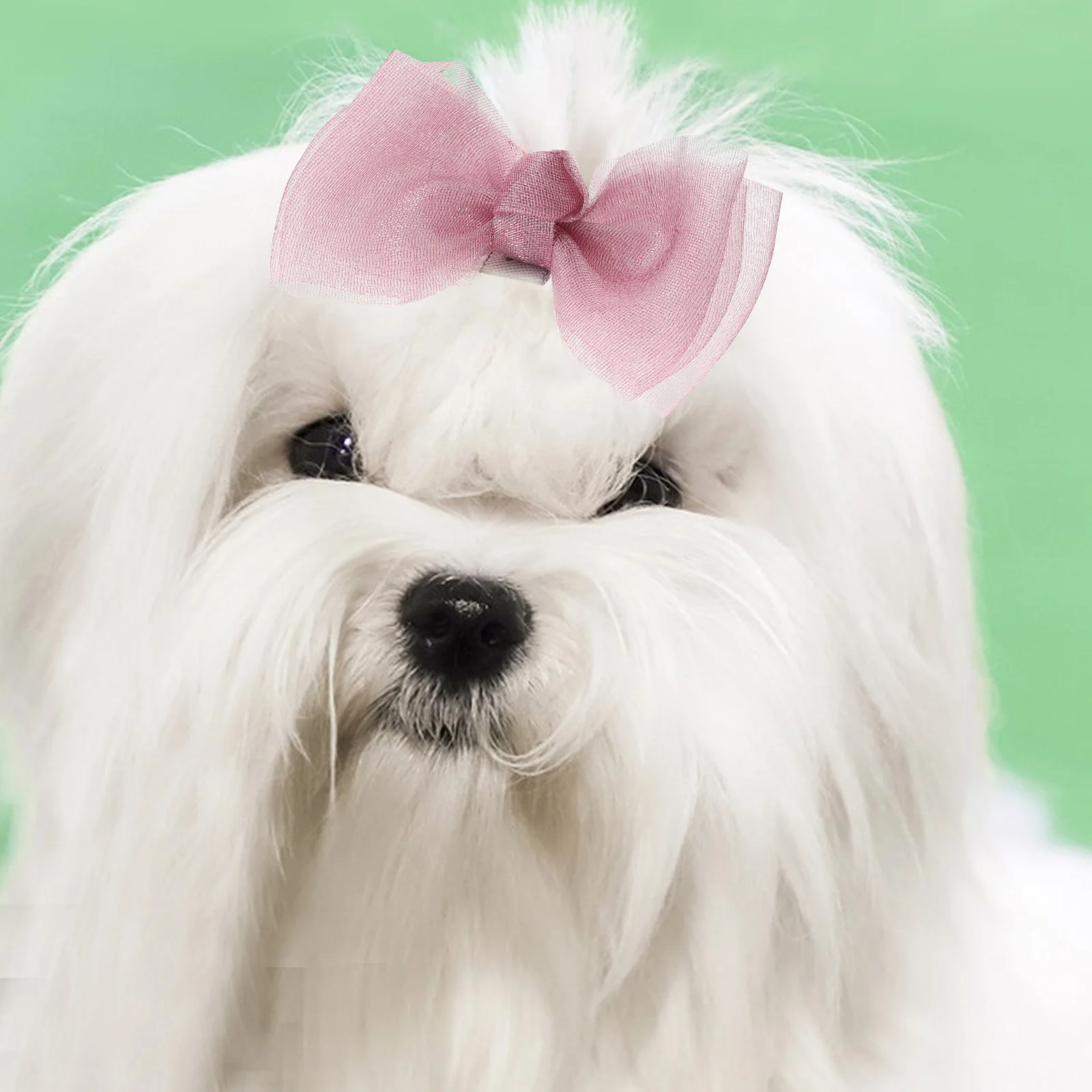 

10pcs Dog Accessories Cute Puppy Elastic Ties Small Dog Grooming Bows Pet Hair Holders Flower Headwear For Dogs Stylish Pet Hair